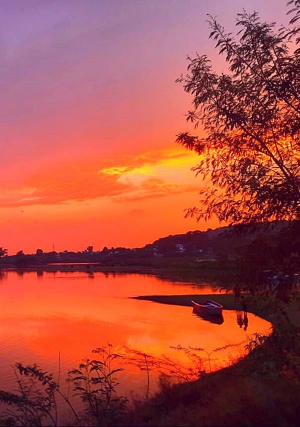 damdama (1650 × 2348 px) (5)